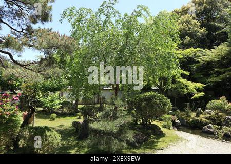 Japanischer Garten im Enman-in Tempel in Otsu, Shiga, Japan Stockfoto