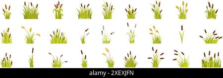 Rasenrohrsymbole gesetzt. Sammlung grüner Schilfpflanzen, die im Sumpf wachsen Stock Vektor