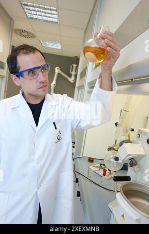 Rotavapor, Synthesis Laboratory, IkerChem Forschungslabor, Design und Synthese neuer chemischer Einheiten mit therapeutischen Anwendungen in der Onkologie, Disc Stockfoto