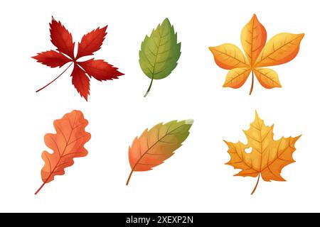 Herbstlaub. Zeichentrickstil. Ahorn, Kastanie, Eichenblatt, gelb und orange. Vektor Stock Vektor