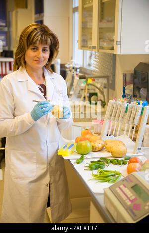 DNA-Extraktion, Food and Polymerase Chain Reaction (PCR), Biotechnology Laboratory, Neiker Tecnalia, Instituto de Investigación y Desarrollo Agrario, Stockfoto