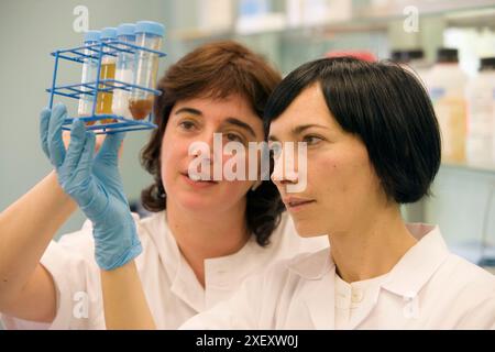 Analyse von Antibiotikaresten in Honig, Labor für Agrarumweltsicherheit, Departamento de Agrosistemas y Recursos Naturales, Neiker Tecnalia, Stockfoto