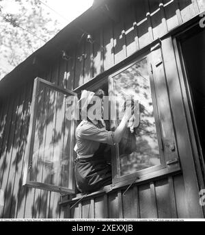 Während des Zweiten Weltkriegs 1941. Eine junge Frau von der schwedischen Frauenverteidigungsorganisation. Eine Hilfsorganisation der schwedischen Heimatgarde, ein Teil der schwedischen Streitkräfte. Sie sieht in ihrer Uniform ein Fenster an einem Haus reinigen. Kristoffersson Ref. 189-19 Stockfoto