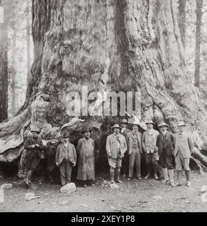 Vintage-Foto von Theodore Roosevelt und seiner angesehenen Partei, vor dem 'Grizley Giant', den großen Bäumen Kaliforniens. USA. Juli 1903 Stockfoto