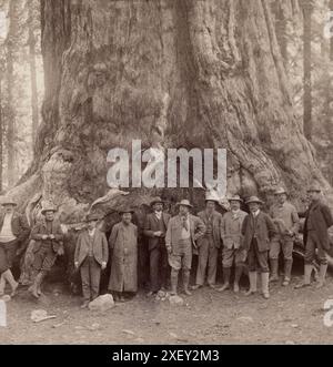 Theodore Roosevelt und seine angesehene Partei, vor dem 'Grizley Giant', den großen Bäumen Kaliforniens. USA. Juli 1903 Stockfoto