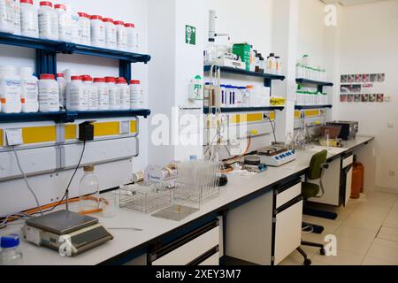 Mikrobiologisches Labor. AZTI-Tecnalia. Technologiezentrum, spezialisiert auf Marine- und Lebensmittelforschung. Sukarrieta, Bizkaia, Euskadi. Spanien. Stockfoto