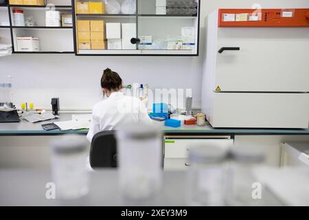 Mikrobiologisches Labor. AZTI-Tecnalia. Technologiezentrum, spezialisiert auf Marine- und Lebensmittelforschung. Sukarrieta, Bizkaia, Euskadi. Spanien. Stockfoto