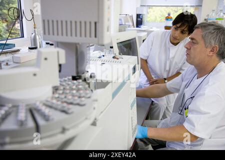 Physik- und Chemielabor. Gaschromatograf zum Nachweis von Schadstoffen in Lebensmitteln. AZTI-Tecnalia. Technologiezentrum, spezialisiert auf Marin Stockfoto