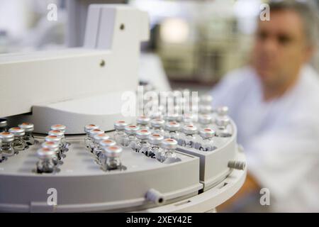 Physik- und Chemielabor. Gaschromatograf zum Nachweis von Schadstoffen in Lebensmitteln. AZTI-Tecnalia. Technologiezentrum, spezialisiert auf Marin Stockfoto