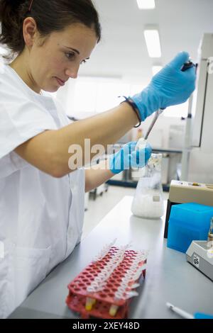 Molekularbiologisches Labor. Probenvorbereitung zum Nachweis der Zugabe von Mandarine zu Orangensaft mittels DNA-Techniken. AZTI-Tecnalia. Technologie Stockfoto