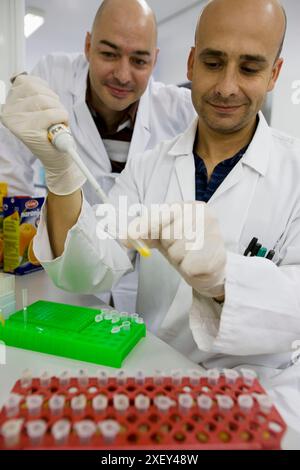 Molekularbiologisches Labor. Probenvorbereitung zum Nachweis der Zugabe von Mandarine zu Orangensaft mittels DNA-Techniken. AZTI-Tecnalia. Technologie Stockfoto