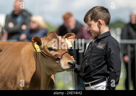 Junge Handler zeigen ihr Milchvieh auf der Three Counties Show in Malvern, Großbritannien. 2024. Stockfoto