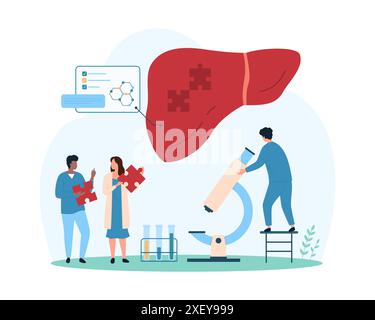 Lebergesundheit, Krankheitsbewusstsein und Stoffwechselschutz. Winzige Leute, die Puzzleteile halten, um in gesunde menschliche Leber auf Infografik-Anatomie-Diagramm Cartoon-Vektor-Illustration zu verbinden Stock Vektor