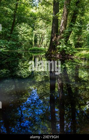 Kleiner Teich im Park Barkenhoff / Heinrich-Vogeler-Museum. Ostendorfer Straße, Worpswede, Niedersachsen, Deutschland Stockfoto