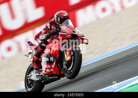 ASSEN - Francesco Bagnaia (ITA) auf seinem Ducati während des MotoGP-Rennens auf dem TT von Assen 2024. ANP VINCENT JANNINK Stockfoto