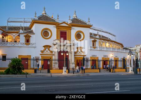 Plaza de Toros De La Real Maestranza de Caballeria de Sevilla, Sevilla, Andalusien, Spanien Stockfoto