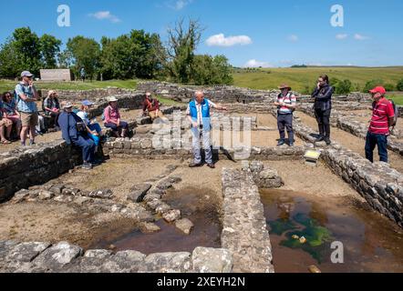 Vindolanda Reiseführer führt Besucher durch das römische Fort Vindolanda, Northumberland, England. Stockfoto