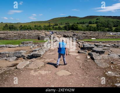 Vindolanda Reiseführer führt Besucher durch das römische Fort Vindolanda, Northumberland, England. Stockfoto