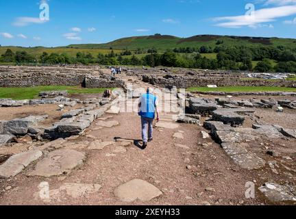 Vindolanda Reiseführer führt Besucher durch das römische Fort Vindolanda, Northumberland, England. Stockfoto