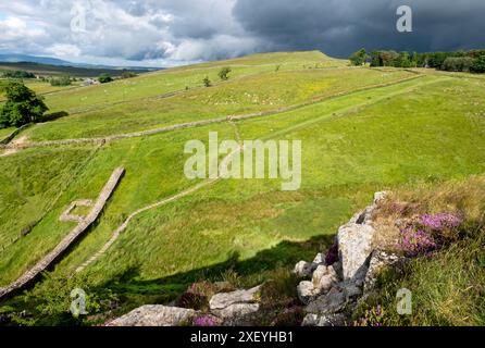 Blick nach Westen entlang der Hadriansmauer von Steel Rigg, Northumberland, England Stockfoto