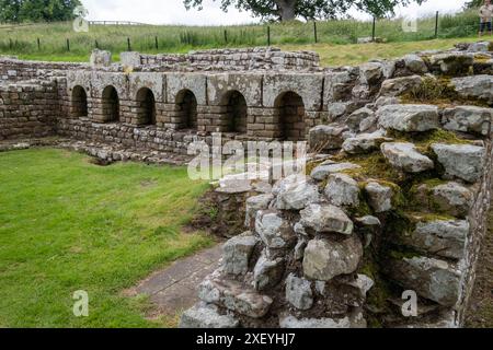 Das Apodyterium, Umkleideraum im Chesters Roman Bath House (Cilurnum) Roman Fort. Chollerford, Hexham, Northumberland, England. Stockfoto