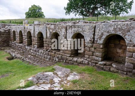 Das Apodyterium, Umkleideraum im Chesters Roman Bath House (Cilurnum) Roman Fort. Chollerford, Hexham, Northumberland, England. Stockfoto