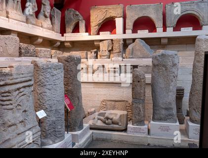 Artefakte im Museum im römischen Fort Chesters (Cilurnum). Chollerford, Hexham, Northumberland, England. Stockfoto