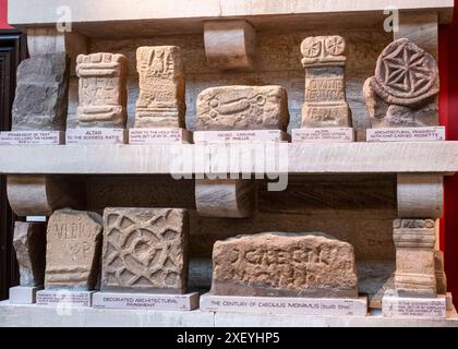 Artefakte im Museum im römischen Fort Chesters (Cilurnum). Chollerford, Hexham, Northumberland, England. Stockfoto