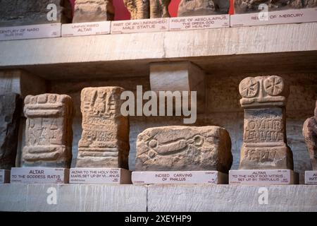 Artefakte im Museum im römischen Fort Chesters (Cilurnum). Chollerford, Hexham, Northumberland, England. Stockfoto