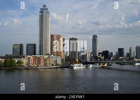 Die neue Maas im Zentrum von Rotterdam, Niederlande. Stockfoto