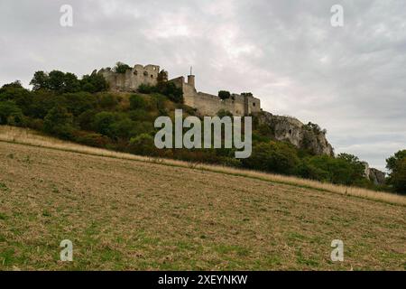 Ruine der Burg Falkenstein mit Weinberg im Herbst. Niederösterreich, Österreich Stockfoto