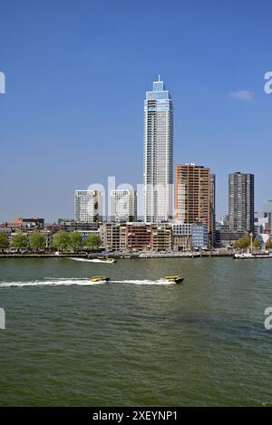 Geschäftige Geschäftstätigkeit auf der Neuen Maas im Zentrum von Rotterdam, Niederlande. Stockfoto