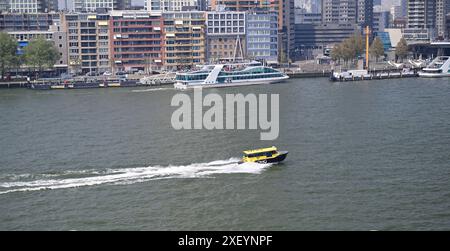 Ein Wassertaxi auf der Neuen Maas im Zentrum von Rotterdam, Niederlande. Stockfoto