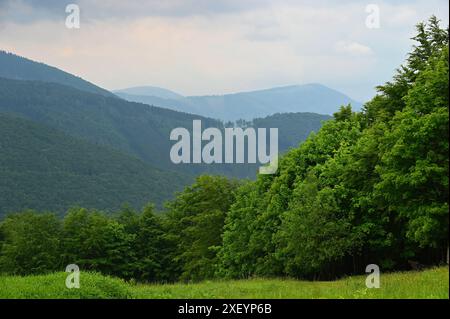 Landschaft in Beskiden, Tschechien, Europa. Wald und grüne Natur. Stockfoto