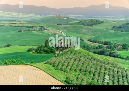 30. April 20124 Podere Belvedere und toskanische Landschaft bei Sonnenaufgang in der Nähe von Pienza, Toskana, Italien, Europa Stockfoto