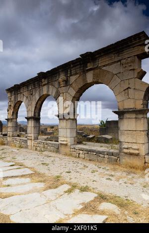 Volubilis ist eine teilweise ausgegrabene berrömische Stadt in Marokko in der Nähe der Stadt Meknes Stockfoto