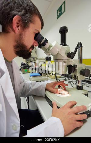 Lupe. Analyse der Fehlerursachen von Komponenten und Systemen. Technologische Dienstleistungen für die Industrie. Tecnalia Research & Innovation, Donostia, San Seba Stockfoto