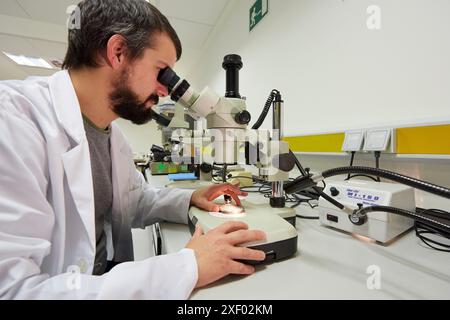 Lupe. Analyse der Fehlerursachen von Komponenten und Systemen. Technologische Dienstleistungen für die Industrie. Tecnalia Research & Innovation, Donostia, San Seba Stockfoto