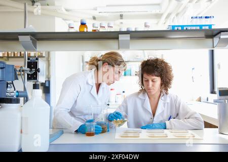 Herstellung von Biopolymerfilmen auf Basis von Proteinen, Polysacchariden und Lipiden nach dem ´Gießverfahren´ zur Verwendung in Verpackungs- und Lebensmittelkonservierung. A Stockfoto