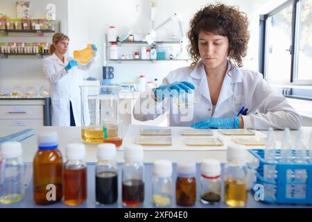 Herstellung von Biopolymerfilmen auf Basis von Proteinen, Polysacchariden und Lipiden nach dem ´Gießverfahren´ zur Verwendung in Verpackungs- und Lebensmittelkonservierung. A Stockfoto