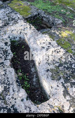 Anthropomorphe Grab, römisches Theater von Pollentia, Ende 1. Jahrhundert, römische Stadt Pollentia, Alcudia, Mallorca, Balearen, Spanien. Stockfoto