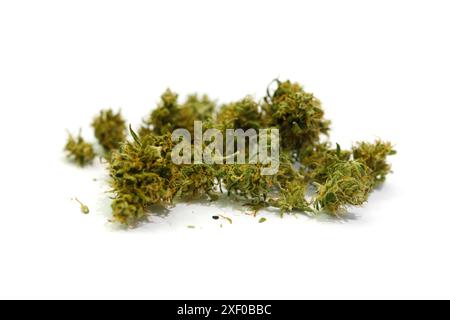 Nahaufnahme von medizinischen Marihuana-Knospen auf weißem Hintergrund Stockfoto