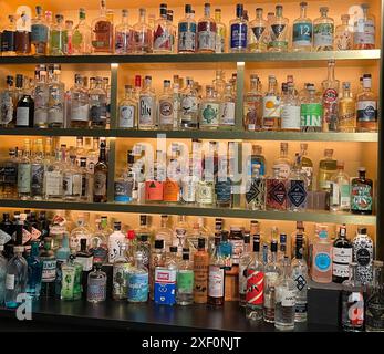 Gin-Auswahl in der Bar in Kanada Stockfoto