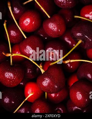 Süße Kirsche Nahaufnahme. Wassertropfen auf Kirschbeeren. Rote Sommerbeeren. Stockfoto