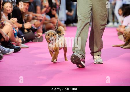 Madrid, Spanien. 30. Juni 2024. Die Veranstaltung Feathers and Paws fördert die Adoption während der Pride-Feiern am 30. Juni 2024 in Madrid. (Foto: Hazhard Espinoza Vallejos/NurPhoto) Credit: NurPhoto SRL/Alamy Live News Stockfoto