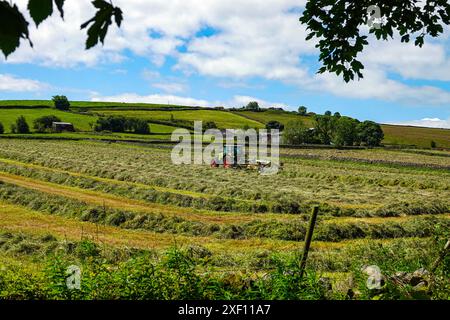 Grüner Traktor mit roten Rädern, der auf einem Feld am Stadtrand von Sheffield, South Yorkshire, Heu macht Stockfoto