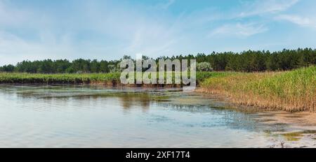 Sommer Pryschukove dunkel braun-rote Jod See mit einer therapeutischen Wirkung durch den hohen Gehalt an Jod (Kherson, Ukraine). Stockfoto