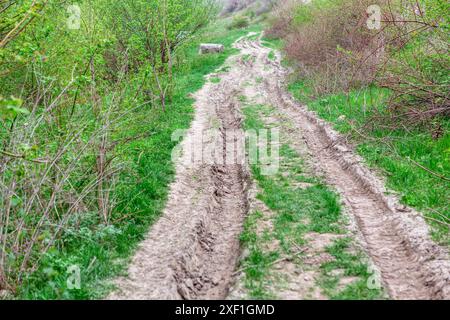 Unbefestigte Straße führt durch eine ruhige Landschaft. Landstraße mit ein paar Bäumen im Hintergrund. Die Straße ist matschig und hat viel Dreck Stockfoto