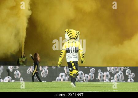 SP - CRICIUMA - 06/30/2024 - BRAZILIAN A 2024, CRICIUMA x INTERNACIONAL - Criciuma Maskottchen und Fans während eines Spiels gegen Internacional im Heriberto Hulse Stadion für die brasilianische A 2024 Meisterschaft. Foto: Lucas Gabriel Cardoso/AGIF Credit: AGIF/Alamy Live News Stockfoto