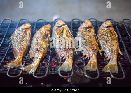 Gegrillter Fisch auf dem Grill Stockfoto